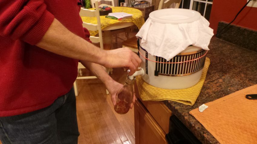 Continuous brew container for kombucha.