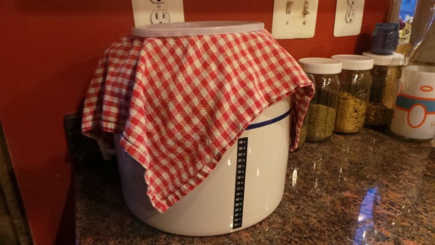 Continuous brew container for kombucha.