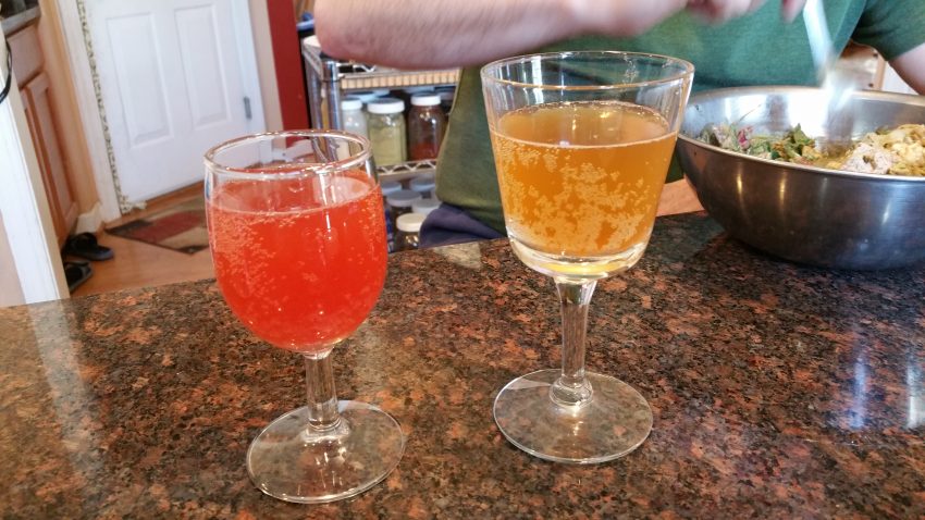 Kombucha in wine glasses