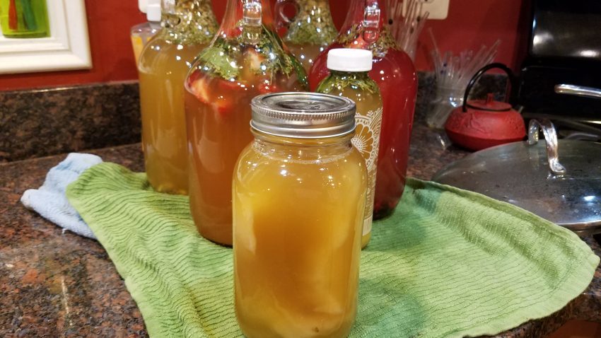 Leftover SCOBY & starter liquid to pass on to a friend.
