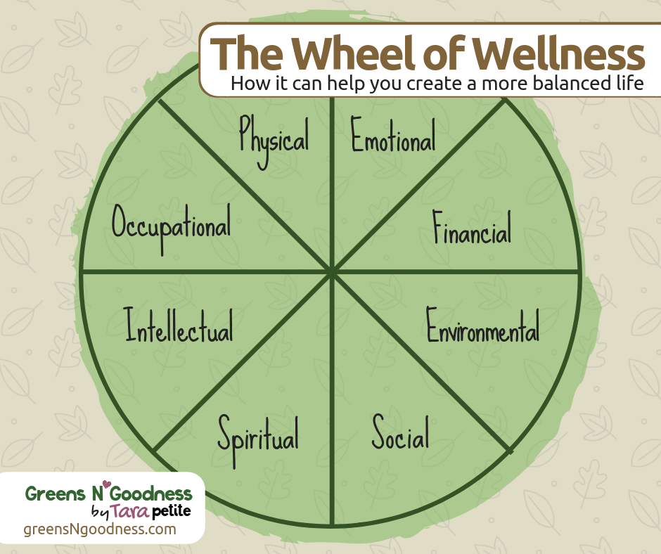 wheel of life exercise pdf